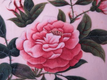 #1749  Chinese Export  Insect & Flower Pith / "Rice" Paper Painting, 19th Century  **Sold**  May 2019