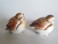 #1591  Lomonosov Porcelain Birds from U.S.S.R., circa 1960s  **SOLD** through our Liverpool shop May 2017