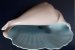 #1836 Poole Pottery Twin Tone Conch Shell, circa 1950s  **SOLD** April 2021