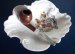 #1856 "British Empire Arms" Souvenir Pipe Ashtray, circa 1900-1910 **Sold** July 2020