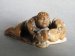 #1720  Fine & Rare 17th / 18th Century  Chinese Soapstone Carving of Liu Hai & a Pixiu*Price on Request*