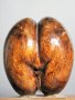 #1746  Small Carved Wood Imitation "Coco dr Mer" (Sea Coconut) from the Seychelles  **SOLD**  December 2018