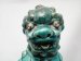 #1745 Rare Chinese Turquoise Enamelled Buddhist Guardian Lion，17th /18th Century