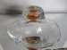 #1649  Cased Lead Crystal Bowl by Thomas Webb, circa 1950s    **Sold** January 2018