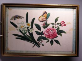 #1749  Chinese Export  Insect & Flower Pith / "Rice" Paper Painting, 19th Century  **Sold**  May 2019