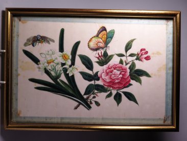 #1749  Chinese Export  Insect & Flower Pith / "Rice" Paper Painting, 19th Century  **Sold**  May 2019