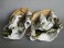 #1687  Bisque Porcelain Figures from France, circa 1900-1915