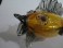 #1594  Venetian Glass Fish, circa 1955 - 1975