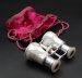 #1874  Mother of Pearl Mounted Victorian or Edwardian Aluminium Opera Glasses   **SOLD** January 2026