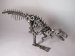 #1600  'Scrap Metal' Dinosaur, 20th Century **SOLD** June 2018