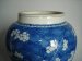 #1514  17th Century Chinese Prunus Pattern Baluster Vase Kangxi (1662-1722)  *Price on Request*